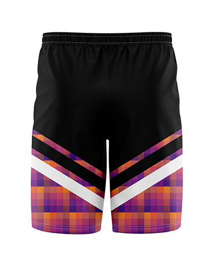 VOLLEYBALL Mesh Shorts   Patriot Sports    Back View. Multicolored.